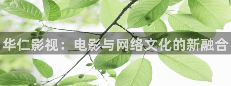 优优色在线欧美影院：华仁影视：电影与网络文化的新融合