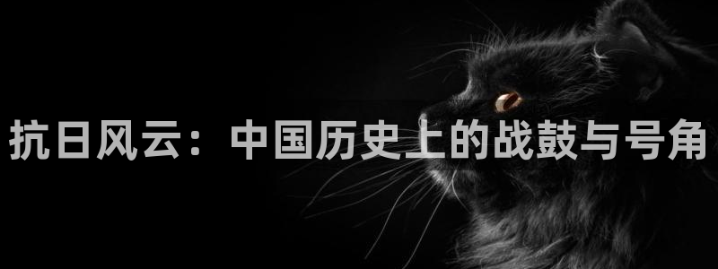 欧美影院日韩影院：抗日风云：中国历史上的战鼓与号角