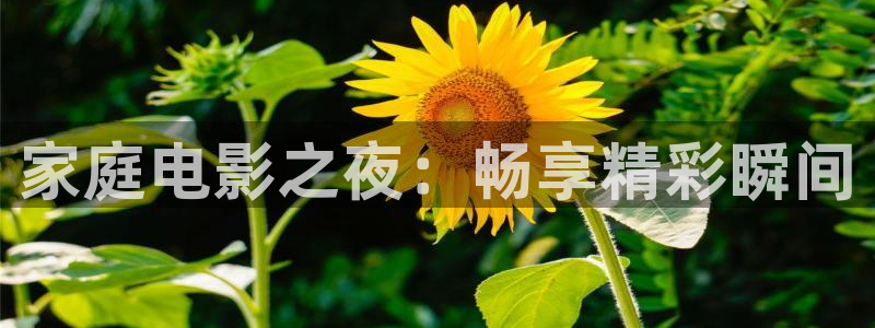 adc欧美影院：家庭电影之夜：畅享精彩瞬间