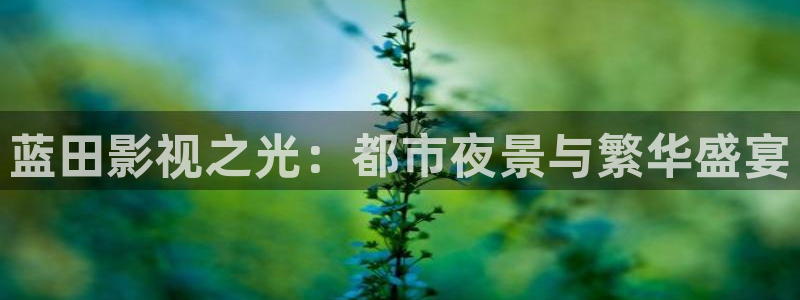 adc欧美影院：蓝田影视之光：都市夜景与繁华盛宴