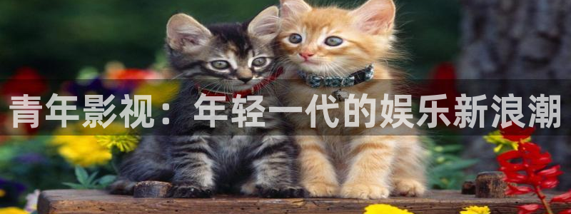 优优色在线欧美影院：青年影视：年轻一代的娱乐新浪潮